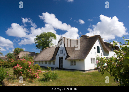 Maison au toit de chaume, Keitum Sylt, Allemagne Banque D'Images