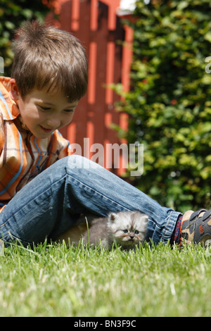 Chat domestique, chat de maison, le Persan (Felis silvestris catus), f. smiling boy assis sur une pelouse avec un chaton de 4 semaines qui com Banque D'Images