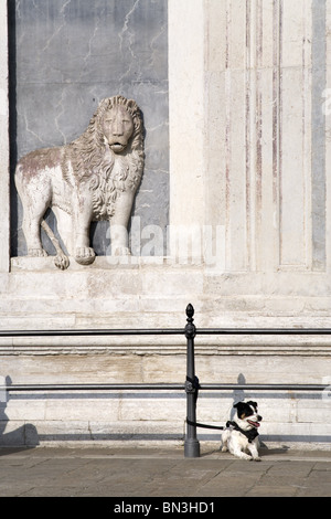 Chien attaché à un poteau, Venise, Italie Banque D'Images