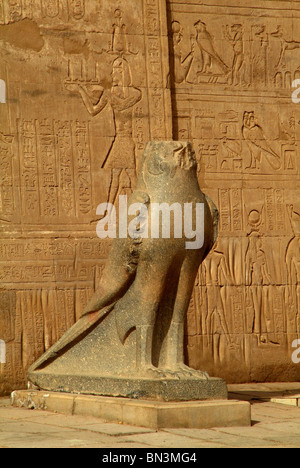 La sculpture à l'Horus d'Edfou, Egypte, Temple Banque D'Images