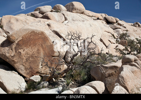 Des roches dans le parc national de Joshua Tree, California, USA, low angle view Banque D'Images