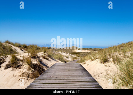 Chemin en bois à travers les dunes près de Norddorf, Amrum Island, Allemagne Banque D'Images