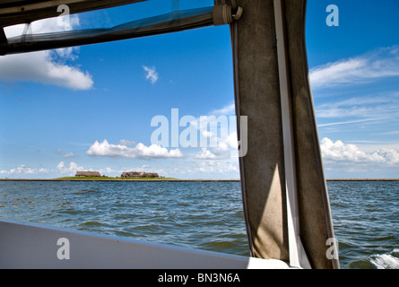 Hallig Groede vu par un navire, Nordfriesland, Schleswig-Holstein, Allemagne Banque D'Images