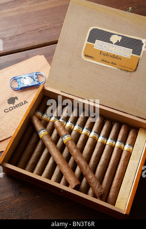 Une boîte de cigares cubains Cohiba. Banque D'Images