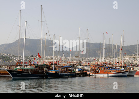 Gulet traditionnel de style turc les bateaux amarrés à Gumbet près de Bodrum, sur la côte turque de la mer Égée se Turquie Banque D'Images