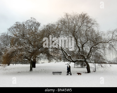 La neige et la glace en hiver dans les étangs de Hampstead Heath à Londres Angleterre Royaume-uni Banque D'Images