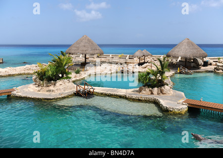 Delphinarium de Cozumel au Mexique avec la plage en arrière-plan Banque D'Images