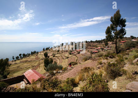 Terres agricoles en terrasses de l'île de Taquile, le Lac Titicaca, au Pérou. Banque D'Images