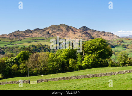 Grand Stickle et Stickle Pike dans la gamme Dunnerdale fells le Lake District Cumbria England UK Banque D'Images