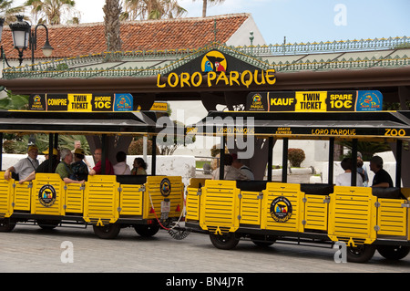 Espagne, Canaries, Tenerife. Ville de Puerto De La Cruz. Loro Parque tramway. Banque D'Images