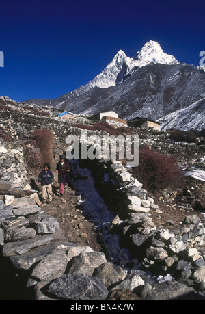 Trek entre villageois Pangboche et Shomare avec la toile de l'Ama Dablam ; vallée du Khumbu, Népal, région de l'Everest Banque D'Images