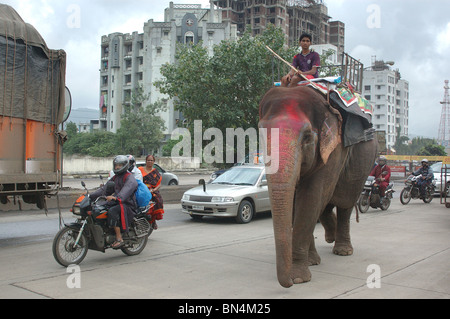 Éléphant avec Mahut sur l'autoroute près de l'express de l'Est ; Bombay Mumbai Mulund ; Inde ; PAS DE MR Banque D'Images