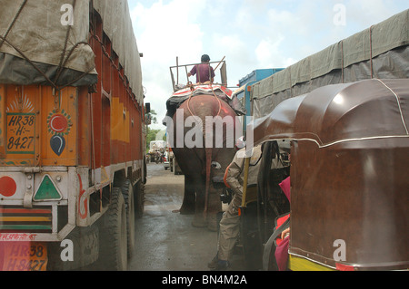 Éléphant avec Mahut sur l'autoroute près de l'express de l'Est ; Bombay Mumbai Mulund ; Inde ; PAS DE MR Banque D'Images