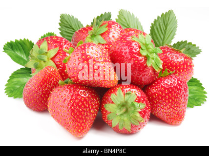 Groupe d'appétissantes fraises avec des feuilles sur le dos. Banque D'Images