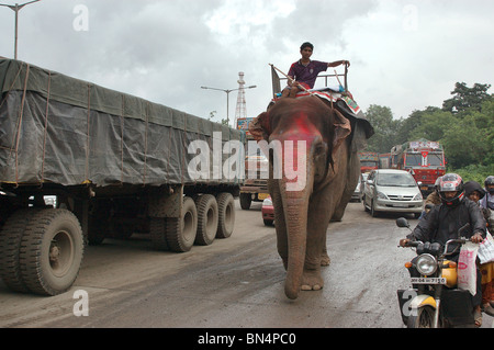 Éléphant avec Mahut sur l'autoroute près de l'express de l'Est ; Bombay Mumbai Mulund ; Inde ; PAS DE MR Banque D'Images