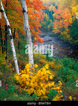 Pattison State Park, WIFI, vue sur la rivière Noire qui coule à travers une forêt de feuillus dans la couleur de l'automne Banque D'Images