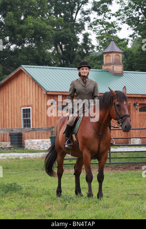 Dame femme sur le cheval habillé de chasser en rat catcher outfit Banque D'Images