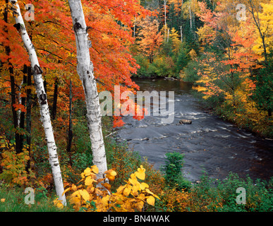 Pattison State Park, WIFI, vue sur la rivière Noire qui coule à travers une forêt de feuillus dans la couleur de l'automne Banque D'Images
