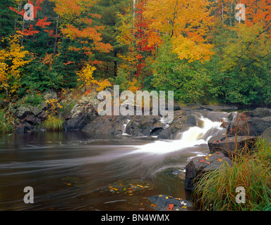 Pattison State Park, WI petites chutes sur la rivière noire avec des couleurs d'automne en forêt de feuillus Banque D'Images