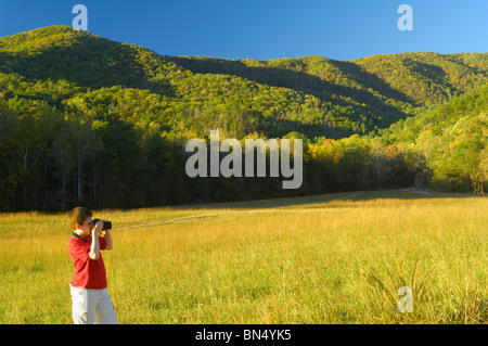 Les touristes à la Cades Cove dans le Great Smoky Mountains National Park, California, USA. Photo par Darrell Young. Banque D'Images