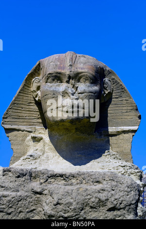 Portrait du grand Sphinx de Gizeh en Egypte Banque D'Images