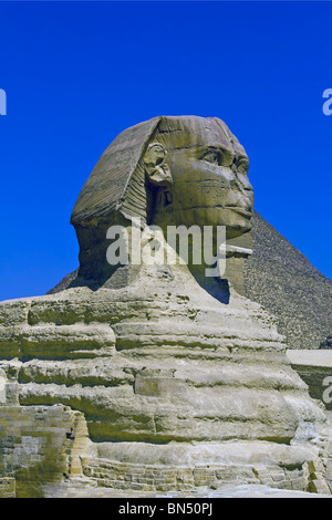 Portrait du grand Sphinx de Gizeh en Egypte Banque D'Images