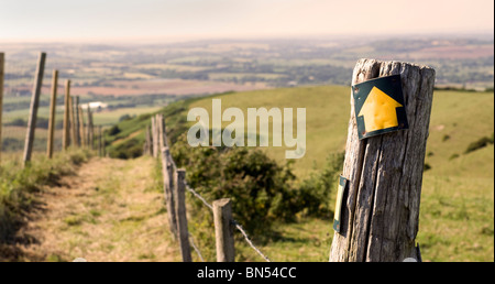 Sentier, Stenbury Down, nr Ventnor, Ile de Wight, Angleterre, Royaume-Uni, GB. Banque D'Images