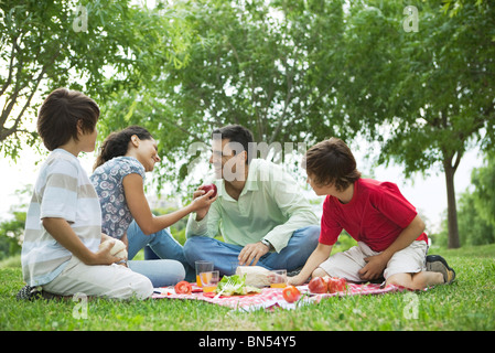 Pique-nique en famille en plein air Banque D'Images