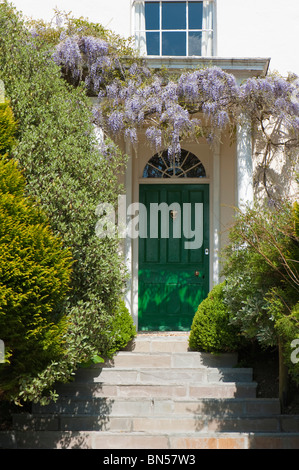 Glycine (Wisteria floribunda) grimpeur de floraison plus drapage la porte d'une maison géorgienne Banque D'Images