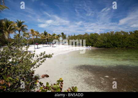 Plage de John Pennekamp State Park, Key Largo, Florida, USA Banque D'Images