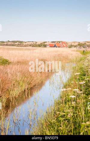 De Petten, Texel, Pays-Bas Banque D'Images