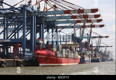 Le Wilhelm Kaisen terminal conteneurs de Bremerhaven, Allemagne Banque D'Images