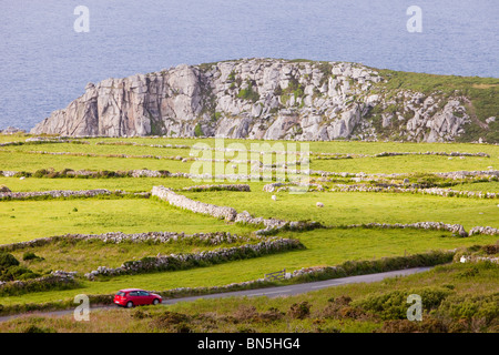 Limites de champ et ancienne Bosigran falaise sur la côte de Cornwall, UK. Banque D'Images