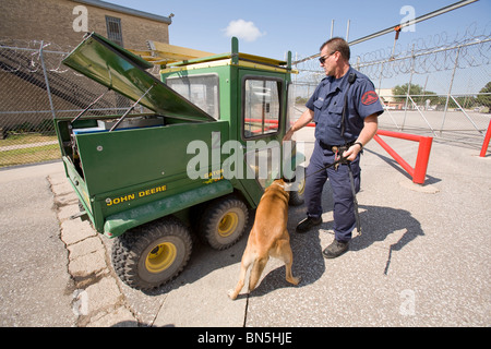 K-9, un Malanoise belge, et est à la recherche d'un véhicule que le véhicule quitte le pénitencier de l'État du Nebraska. Banque D'Images