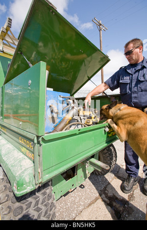 K-9, un Malanoise belge, et est à la recherche d'un véhicule que le véhicule quitte le pénitencier de l'État du Nebraska. Banque D'Images