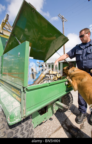 K-9, un Malanoise belge, et est à la recherche d'un véhicule que le véhicule quitte le pénitencier de l'État du Nebraska. Banque D'Images