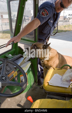 K-9, un Malanoise belge, et est à la recherche d'un véhicule que le véhicule quitte le pénitencier de l'État du Nebraska. Banque D'Images