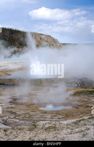 Black Sand Basin's Cliff Geyser dans le Parc National de Yellowstone, Wyoming, USA. Geyser, business, fumerol. Banque D'Images