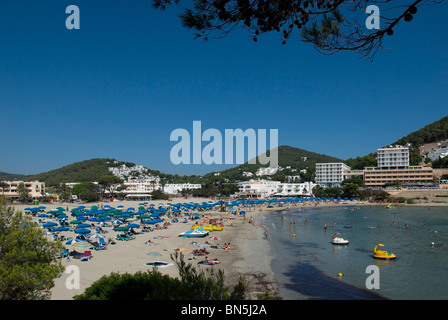 Plage de Cala Llonga, Ibiza, Baléares, Espagne Banque D'Images