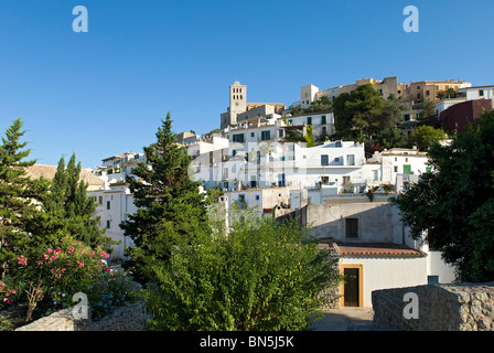 Ibiza ville, Ibiza, Baléares, Espagne Banque D'Images