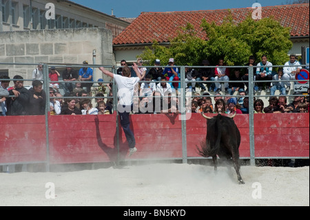 Arles, France - une foule nombreuse regardant des adolescents français matadors dans le traditionnel Carmaque taureau de course de taureaux, Feria Bull Fighting Festival . public sportif Banque D'Images