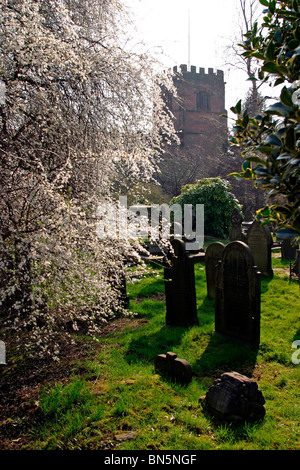 L'Angleterre, Cheshire, Stockport, Cheadle, Saint Mary's Parish Churchyard, printemps Banque D'Images