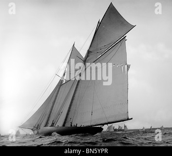 L'yacht volontaire - 1887 Vainqueur de l'America's Cup sur le chardon Banque D'Images