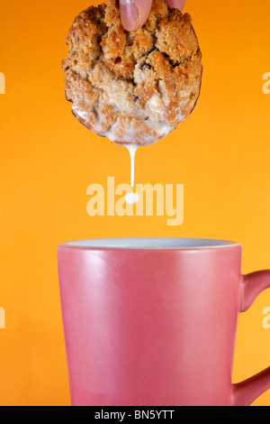 Biscuit d'être trempés dans le lait Banque D'Images