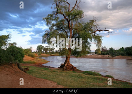 Uaso Nyiro au coucher du soleil. Photo prise dans la réserve nationale de Samburu, Kenya, Afrique de l'Est Banque D'Images