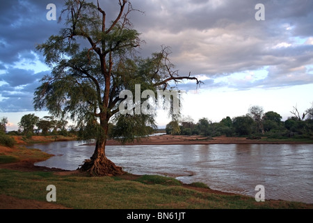 Uaso Nyiro au coucher du soleil. Photo prise dans la réserve nationale de Samburu, Kenya, Afrique de l'Est Banque D'Images