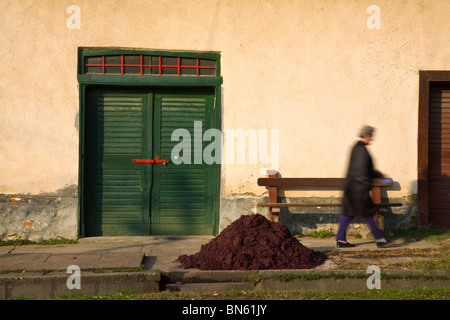 Les célèbres caves de Villany Kovesd en terrasses, Villany région viticole, Southern Transdanubia, Hongrie Banque D'Images