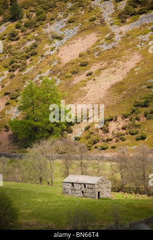 Granges dans les prés en Swaledale, Angleterre Banque D'Images