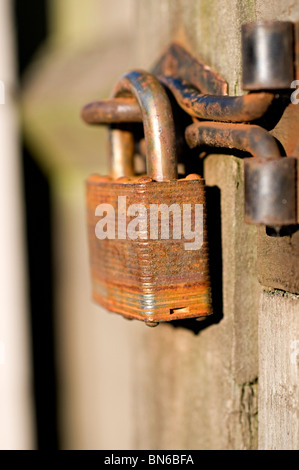 Un cadenas sur une porte rouillée Banque D'Images