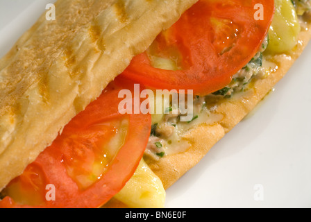 Tomate Thon et fromage sandwich panini grillé close up sur une plaque Banque D'Images